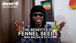 Macka Bs Medical Monday Fennel Seeds