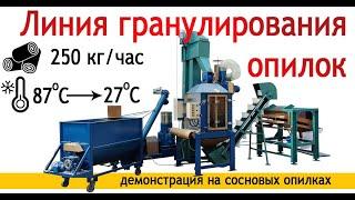 Линия гранулирования сосновых опилок Артмаш с охладительным комплексом 04 куба