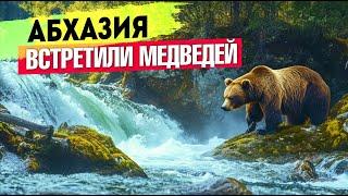 АБХАЗИЯ - ЖЕСТЬ ВСТРЕТИЛИ МЕДВЕДЕЙ Черниговка Ольгинские водопады Сухум Каманы