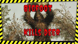 I found A BIGFOOT KILL twisted like a rag.  #Bigfoot