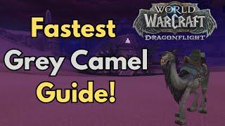 The Fastest Grey Camel & Title Guide World of Warcraft