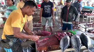 Fastest Cutting Speed  Tuna Fish Cutting Skills Sri Lanka