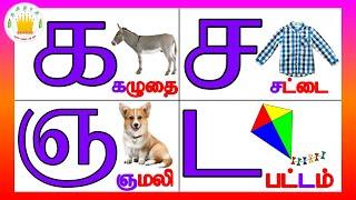 தமிழரசி- க ங சஉயிர்மெய் எழுத்துக்கள்UyirMei Ezhuthukkal Learn Tamil letters for kidsTamilarasi