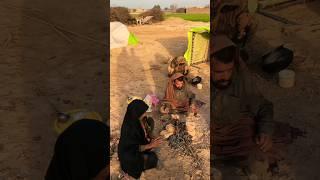 Desi Village Life Punjab Pakistan  Old Culture  Stunning Pakistan  Traditional Village Food