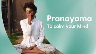 10 minute Pranayama to Calm your Mind 