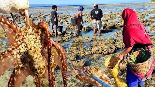 Bersama Warga mencari ikan kerang juga banyak Gurita yang bersarang dilubang batu