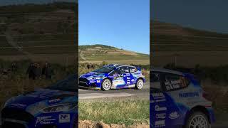  ERC Rally Hungary 2023  SS12 Sárga borház  Powerstage #erc #rally #rallyhungary #rally2