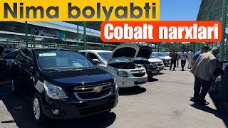 Cobalt narxlari o’zgardi Sergeli Moshina bozori narxlari 2024