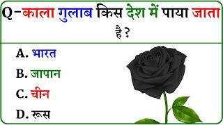 GK Question  GK In Hindi  GK Question and Answer  GK Quiz 