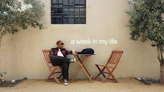 a week in my single life  dating losing friends screenings and more