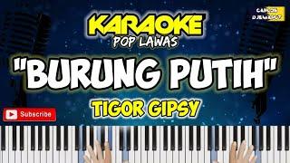 Karaoke - BURUNG PUTIH - Tigor Gipsy Musik by CARLOS DJEMARUT