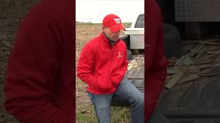 Planting Soybeans Seeding Rate & Treatments