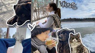 VLOG ПОСЛЕДНИЙ день в школе  гулянки ️