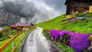Beautiful rain walking tour in Gimmelwald  A Swiss village