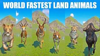 World Fastest Land Animals Speed Race in Planet Zoo included Antelope  Springbok Lion Kangaroo