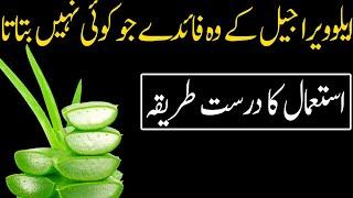 Aloe Vera ke fayde  Aloe Vera khane ke fayde  Aloe Vera  #Shorts