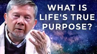 Eckhart Tolle on the True Purpose of Life Beyond the Pursuit of Happiness