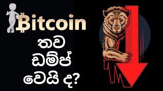 Bitcoin must hold this support  Can we long now ? Important Technical Analysis - Sinhala