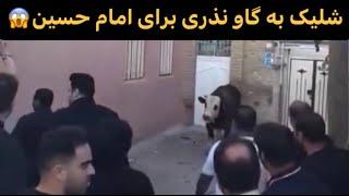 شلیک به طرف گاونذری برای امام حسین بافریادامت حزب الله وهمیشه درصحنه