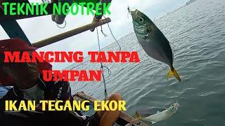 MANCING IKAN DI LAUT -- TEKNIK MANCING NGOTREK --- MEMANCING TANPA UMPAN