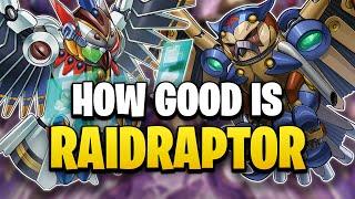 How Good is the RAIDRAPTOR Archetype?