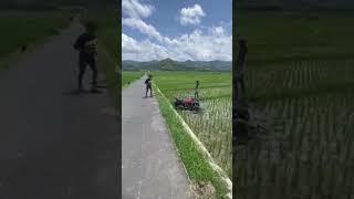 Ini akibatnya ngeyel di bilangin nyungsep kesawah