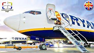 TRIP REPORT  First Time with RYANAIR UK ツ  London to Frankfurt  RYANAIR Boeing 737