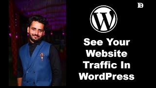 How to See Your Website Traffic Status on WordPress Dashboard  Doubt end