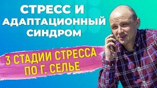 Про стресс и общий адаптационный синдром Ганса Селье