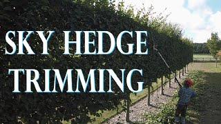 Trimming a Sky Hedge