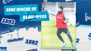 HaHoHe - Eine Woche in Blau-Weiß  22. Spieltag  Greuther Fürth vs. Hertha BSC