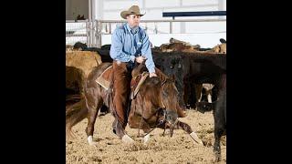 THE BAYER SELECT CHAMPIONSHIP SHOW IN AMARILLO TEXAS