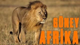 SOUTH AFRICAS WILD NATURE  Full Episode Documentary