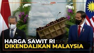 RI Penghasil Sawit Terbesar di Dunia tapi Harganya Ditentukan Malaysia