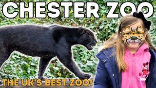 Chester Zoo - The UKs Best Zoo