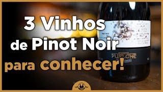 3 VINHOS PINOT NOIR que você precisa conhecer