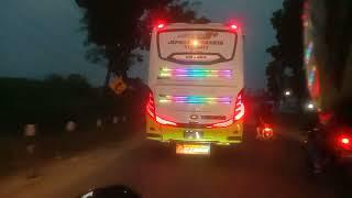 .Bus Kalingga Jaya Sleeper Bus Adiputro Terbaru. Full Istimewa..