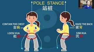 The Way of Tai Chi - Intentional Stance Training 陰陽互動原理與太極站樁體態要求之聯繫