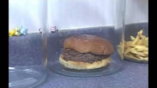 The Decomposition Of McDonalds Burgers And Fries.