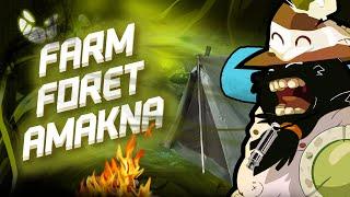 Dofus Rétro La Forêt Amakna