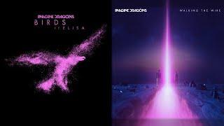 Birds x Walking The Wire Mashup - Imagine Dragons²