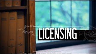 Intellectual Property Licensing