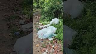 Sampah di pantai berhampiran Pulau Konet