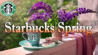 Starbucks Music No Ads - Starbucks Jazz Music & Spring Ambience -Coffee Shop Music Cafe Jazz Music