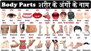 Human Body Parts Name Hindi & English with Pictures and pdf  शरीर के अंग  Name of Body Parts 