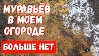 МУРАВЬИ не любят ЭТО пара КАПЕЛЬ и они уйдут СУПЕР СПОСОБ ИЗБАВИТСЯ ОТ ТЛИ 7 эффективных средств