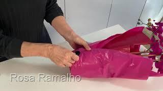 How to wrap a Plant pot with tissue paper 50x70cm #wrappingflowers