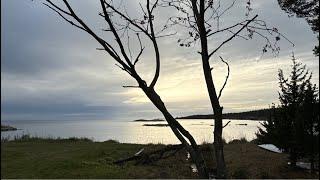 Tankar från havet 31 oktober 2024