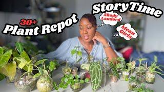 30+ Plant Repot & Chat