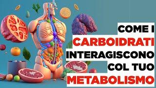 CARBOIDRATI come interagiscono col tuo METABOLISMO